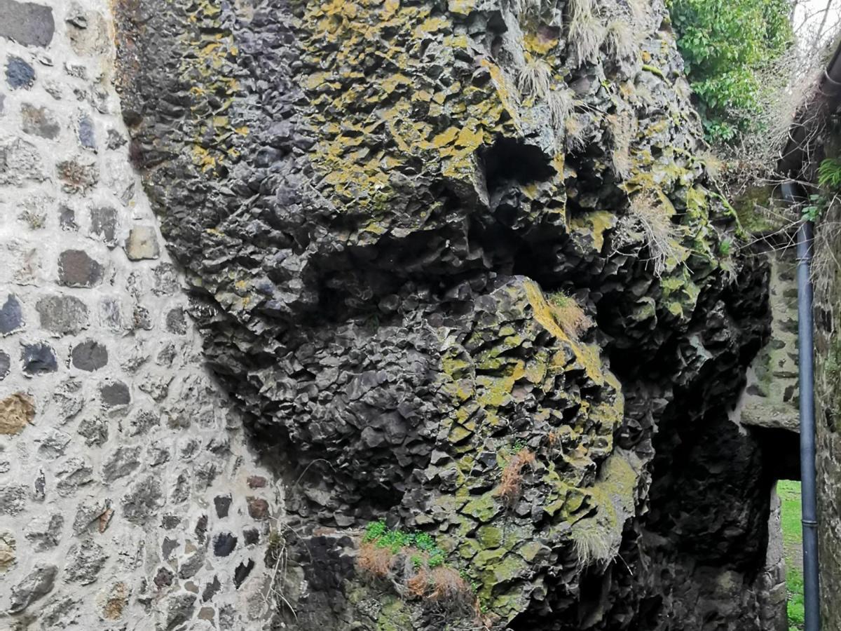 Gite 4 Pers Avec Cour, Vue Loire - Fr-1-582-122 Arlempdes Екстериор снимка